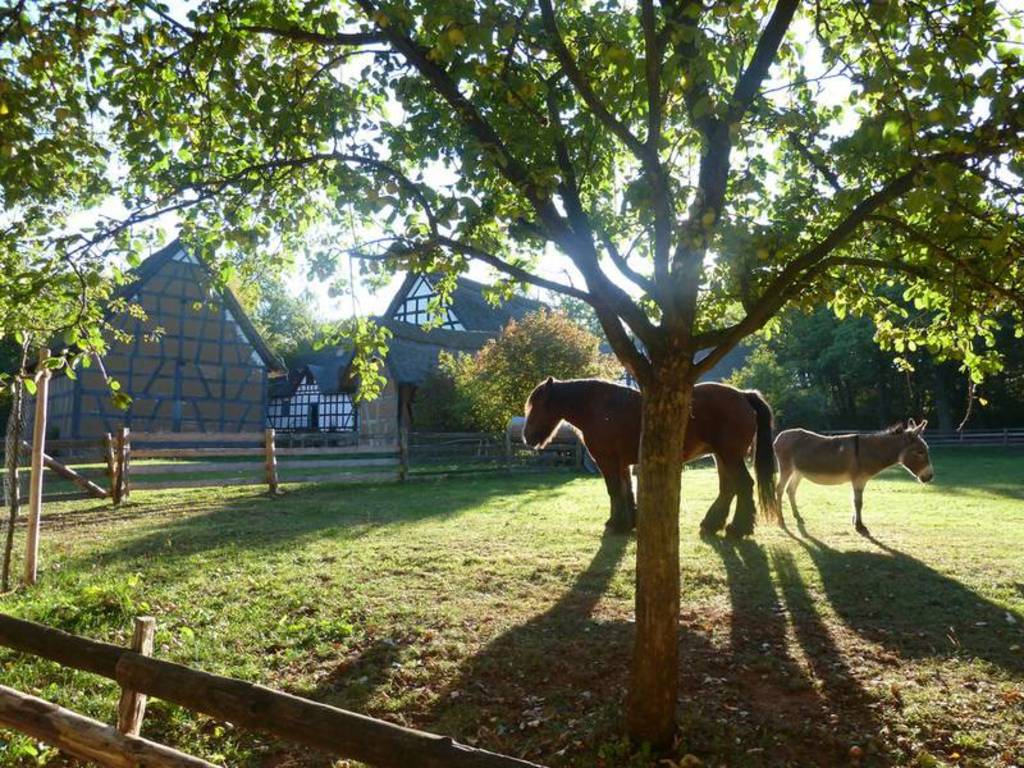 If you love nature & romantic...