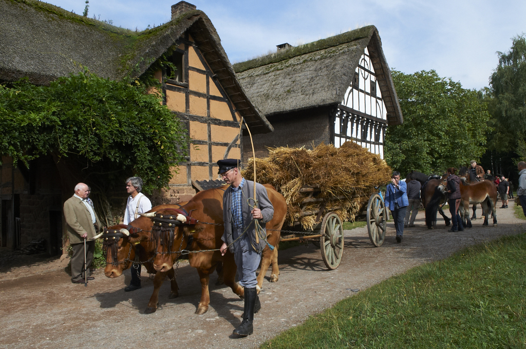 ...old houses, history & nostalgy...