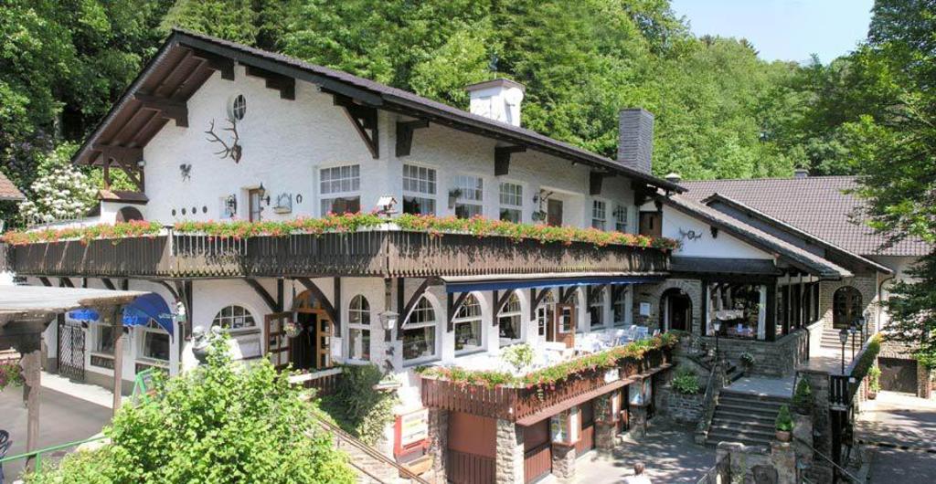 ...Märchenwald Odenthal...