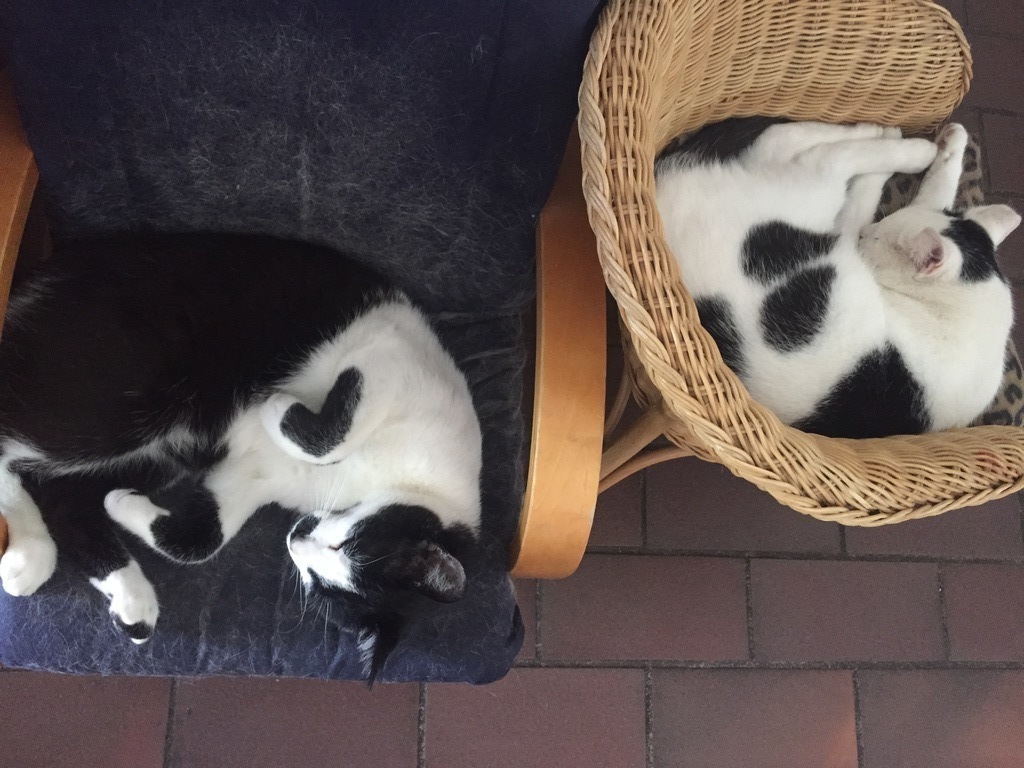 Arthur and Keysi having a nap