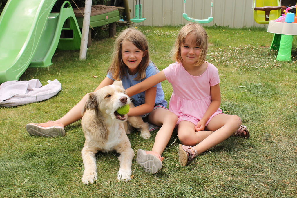 Selma, Janne and Taxi in Kilkenny 2022