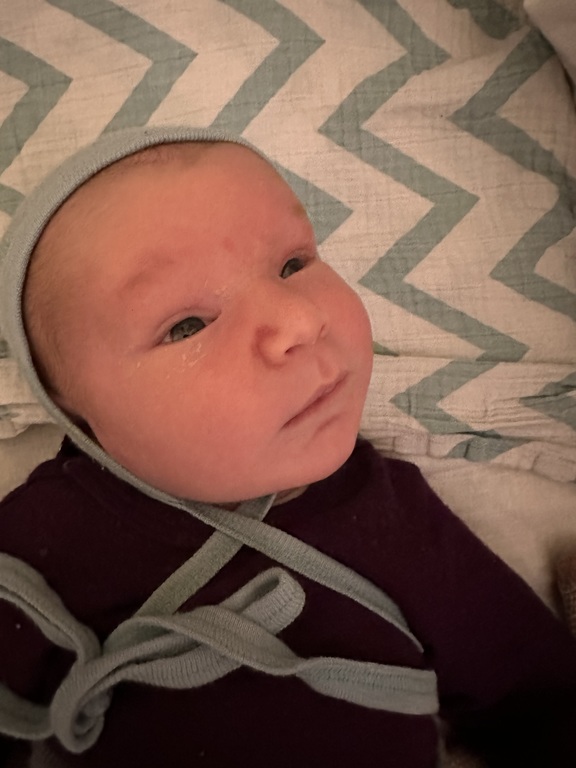 Our newest family member, Gustav