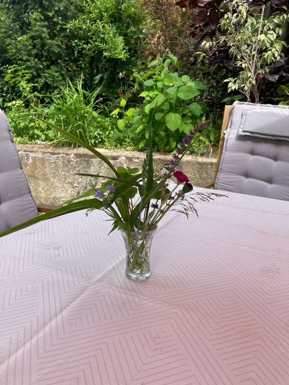 Summer in our garden 2026
