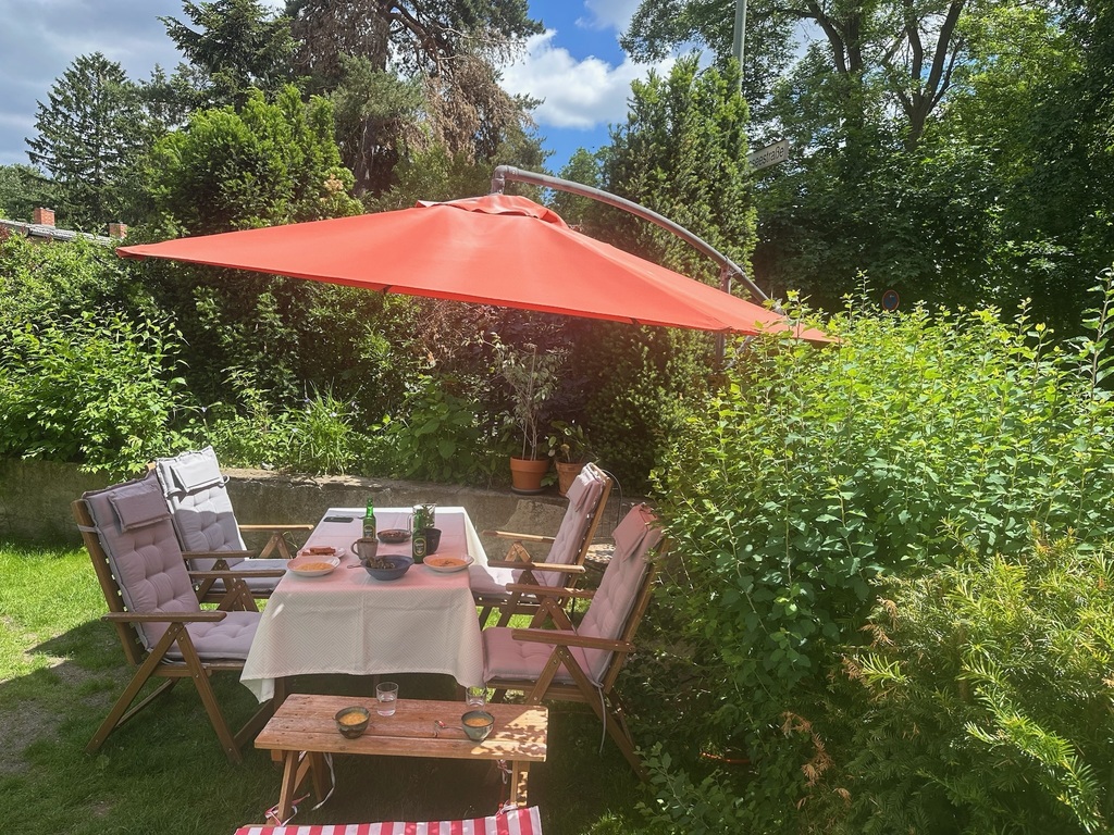 our garden