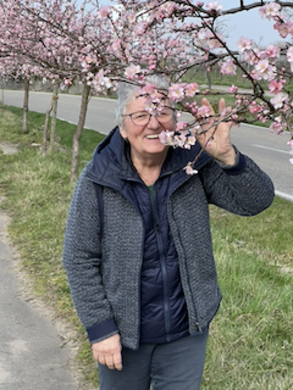 Dieses Jahr im März bei der Mandelblüte
