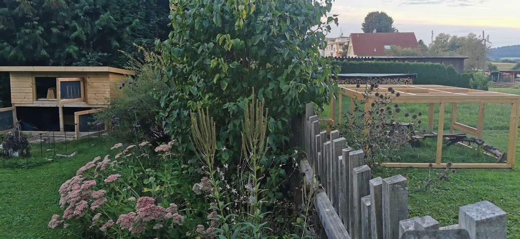 Kaninchenstall und Auslauf. Über einen Tunnel können die Kaninchen Tag und Nacht in ihren Auslauf fltzen.