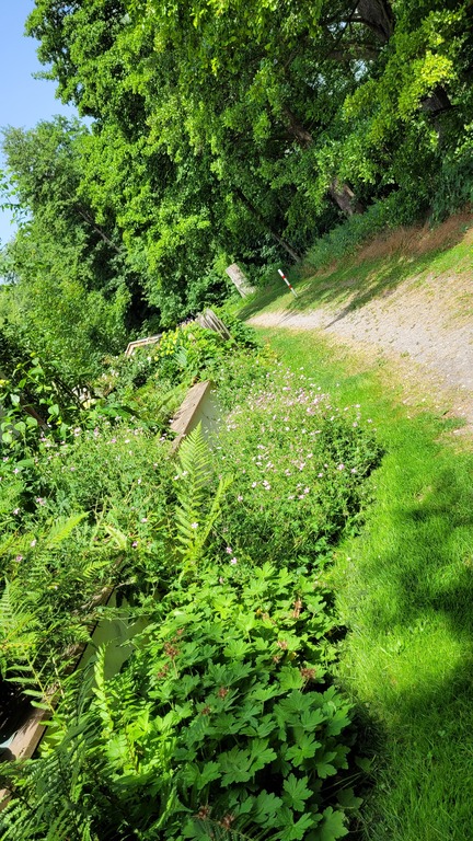 Kleiner Weg zwischen unserem Haus und dem Bach.