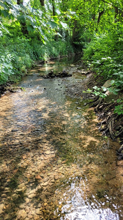 Die Tiefe des Bachs ist ideal für kleine Kinder. Im Sommer herrschen herrliche Temperaturen am Bach.