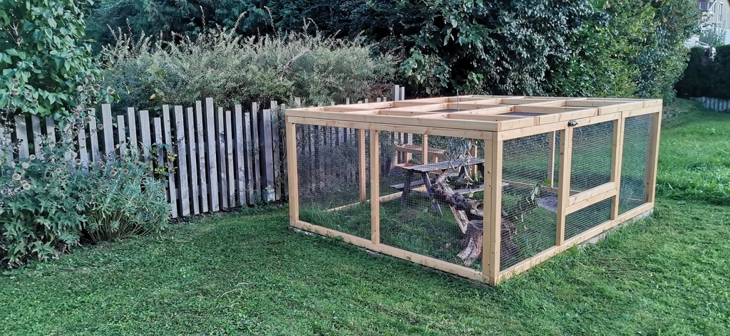 Auslauf der Kaninchen