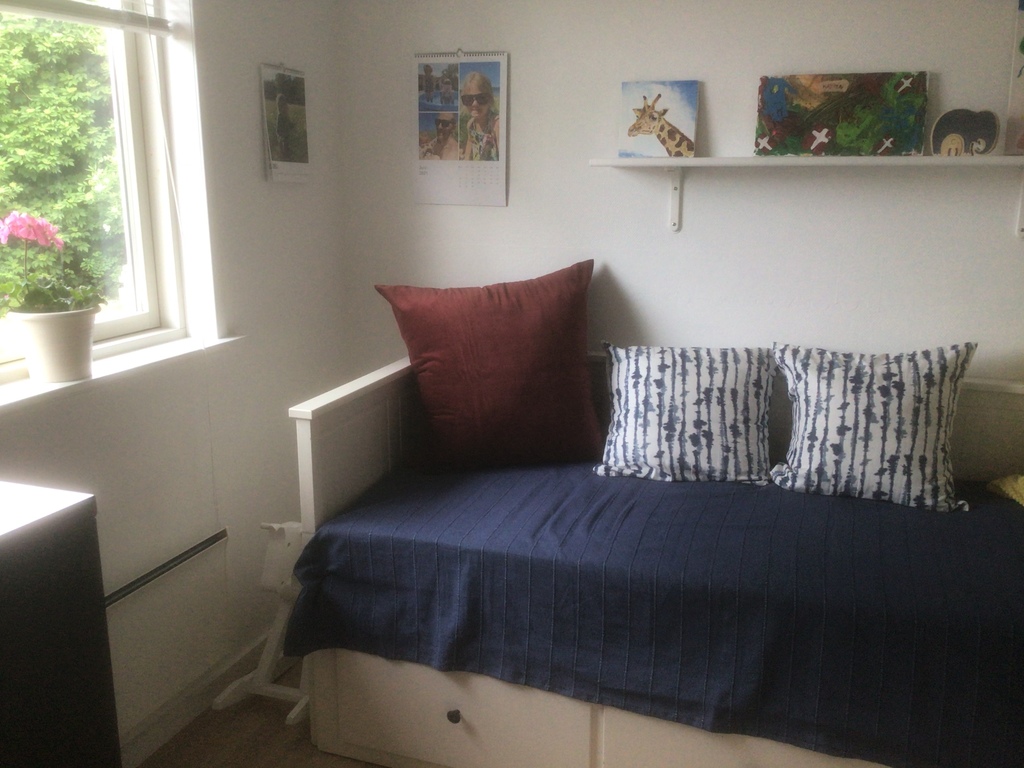 Bedroom with pull-out bed 160 cm bed 