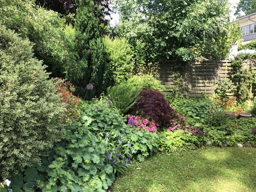 Our garden in Herlev 