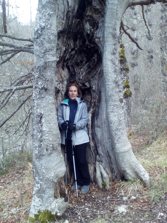 Senderismo en el Norte de España