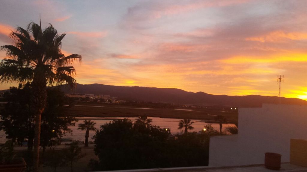 One afternoon in Palmones. View from the house