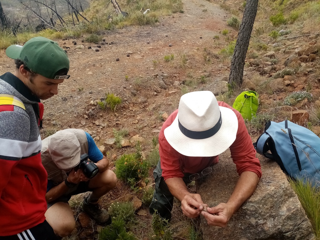 Con unos amigos haciendo senderismo