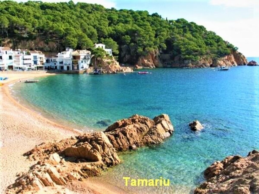 Tamariu