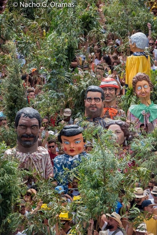 Agaete: Fiesta de La Rama