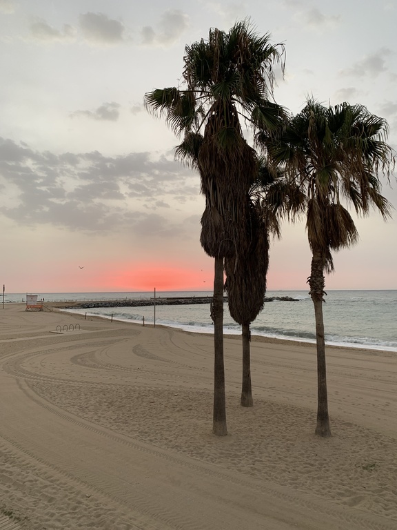 Barcelona beach at dawn