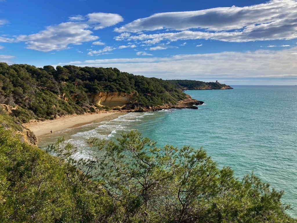 Waikiki or Cala Fonda