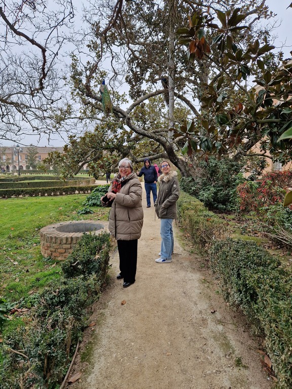 Walking through Aranjuez