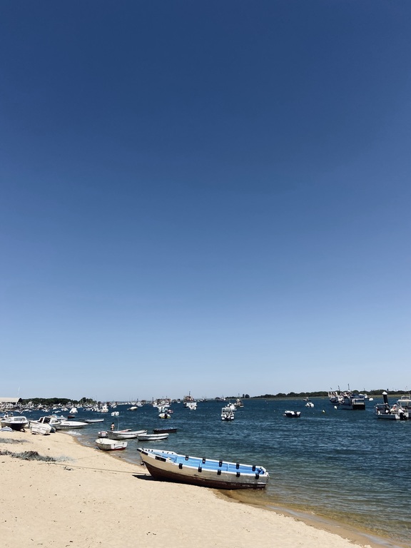 Traditional fishing boats 
