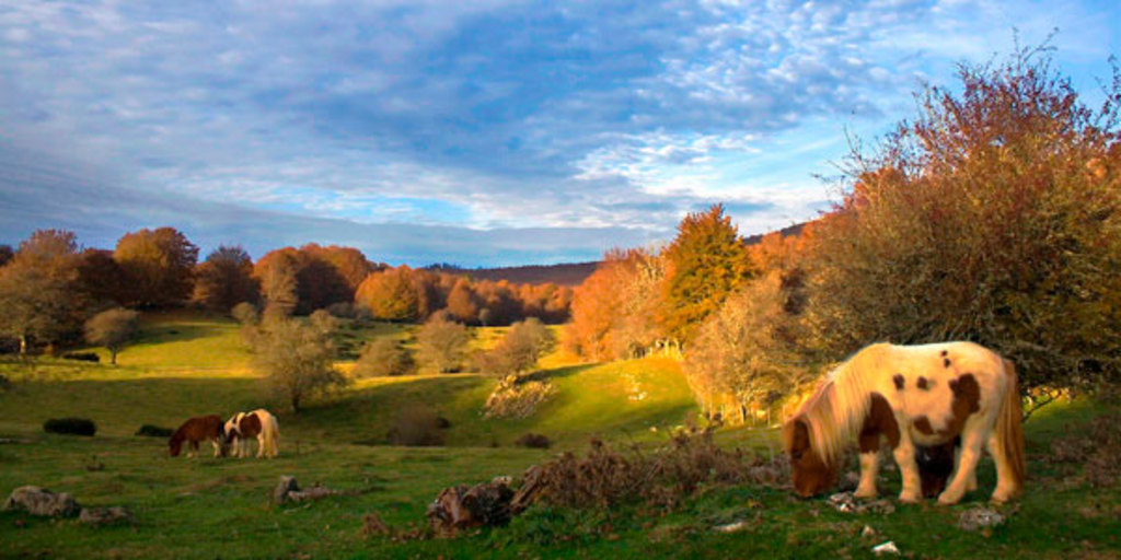 Aralar Natural Park (60km)