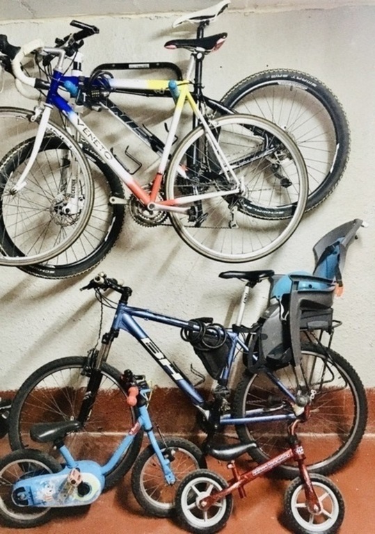 Lots of bikes and also a bike carrying for little kids