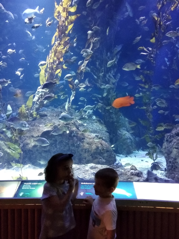 Oceanografico nov-18