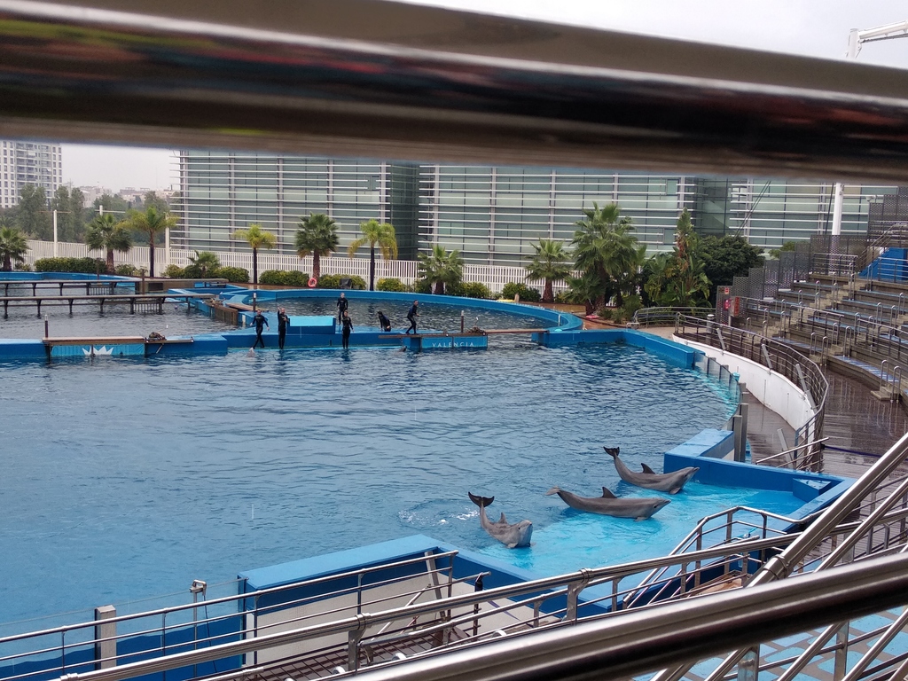 Oceanografico nov-18