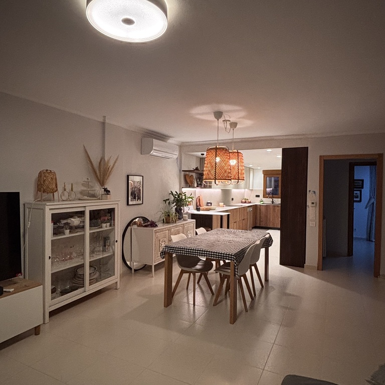 Renovated kitchen + living room