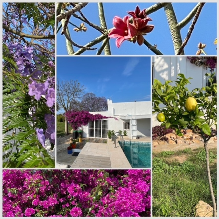 Nature within the grounds