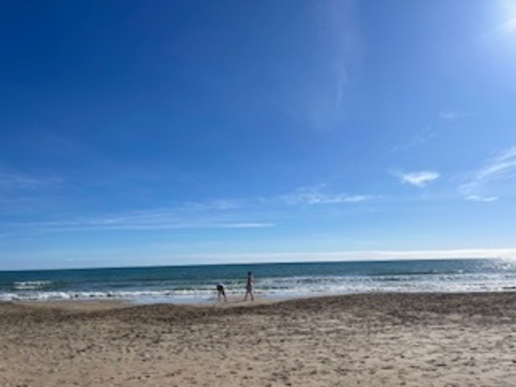 Local beach 10 min walk from house