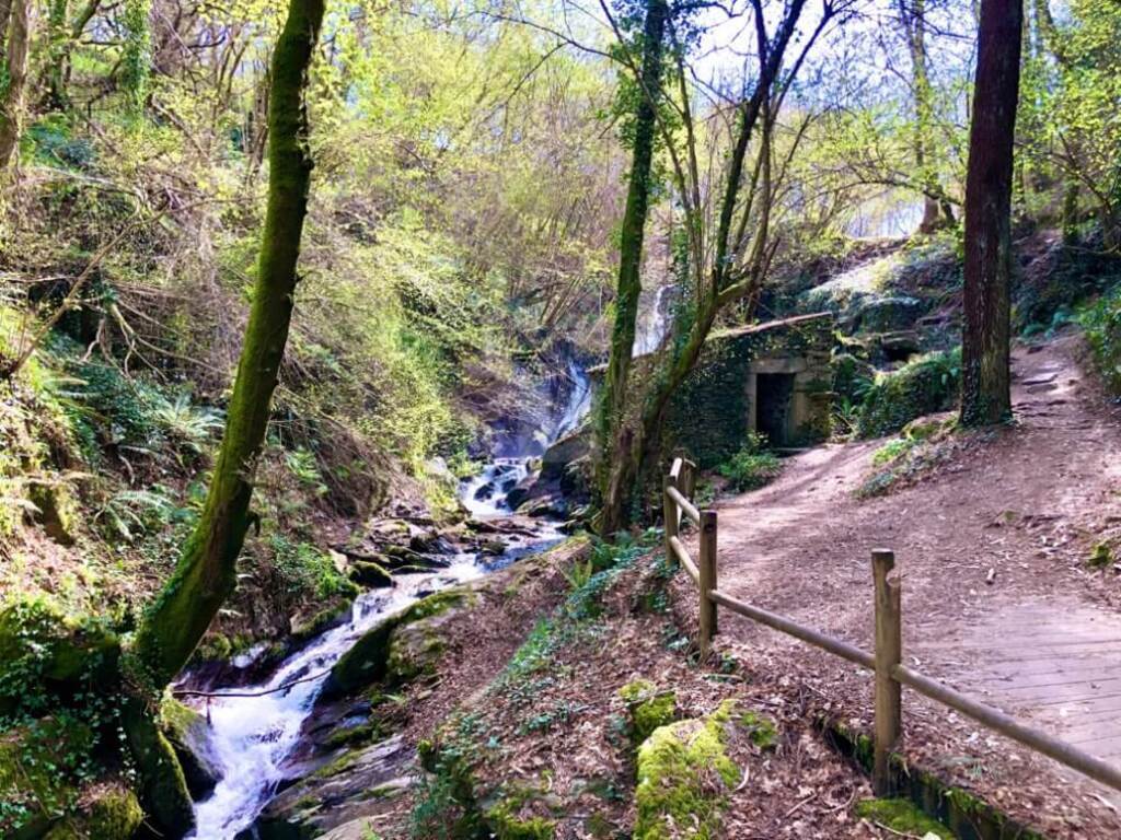 Sendero río Eifonso( 4,8Km)