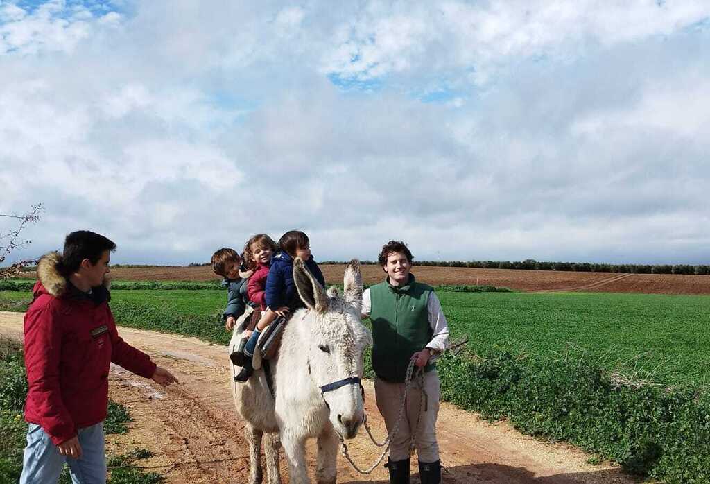 2024, Riding a Donkey in the Countryside