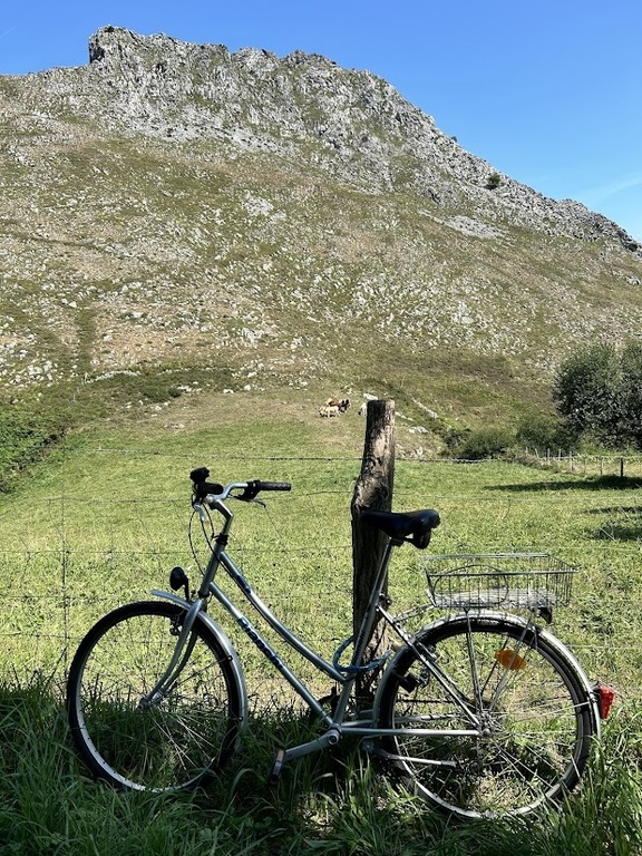 Moving around by bike!