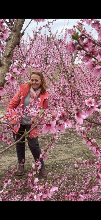 Hola soy Luisa . Este fin de semana hice una excursión para admirar los melocotoneros en flor