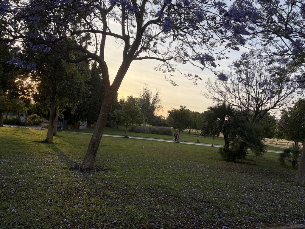  Paseo por el parque