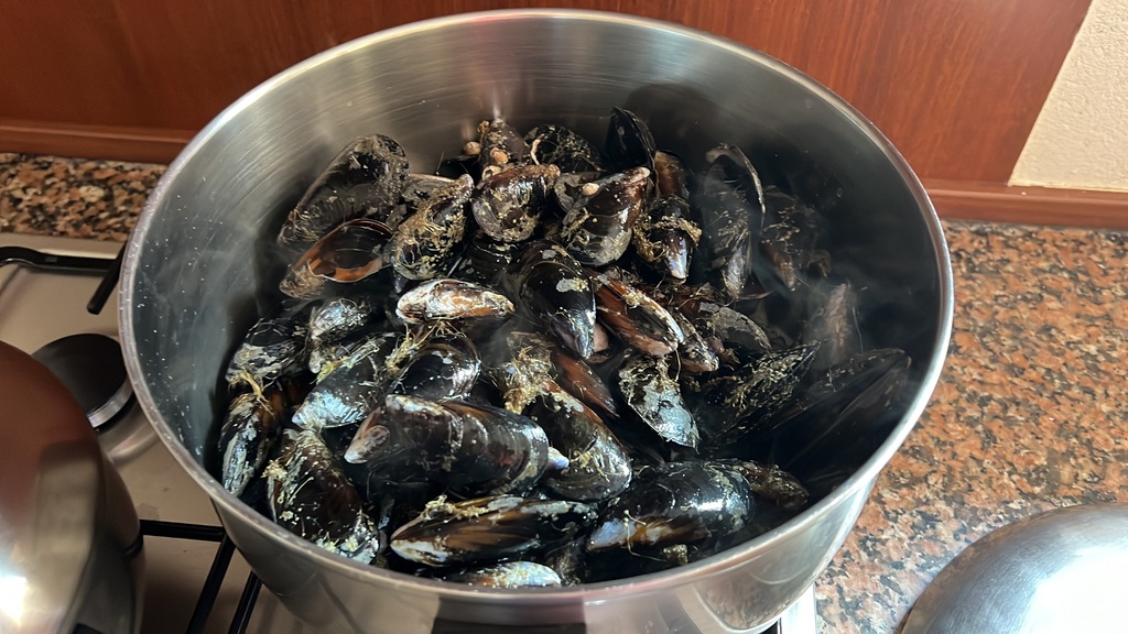 Mejillones al vapor, de la batea a la cazuela.