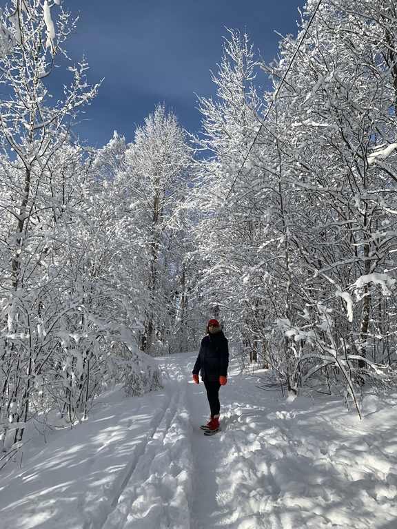 Salla in snowy Helsinki