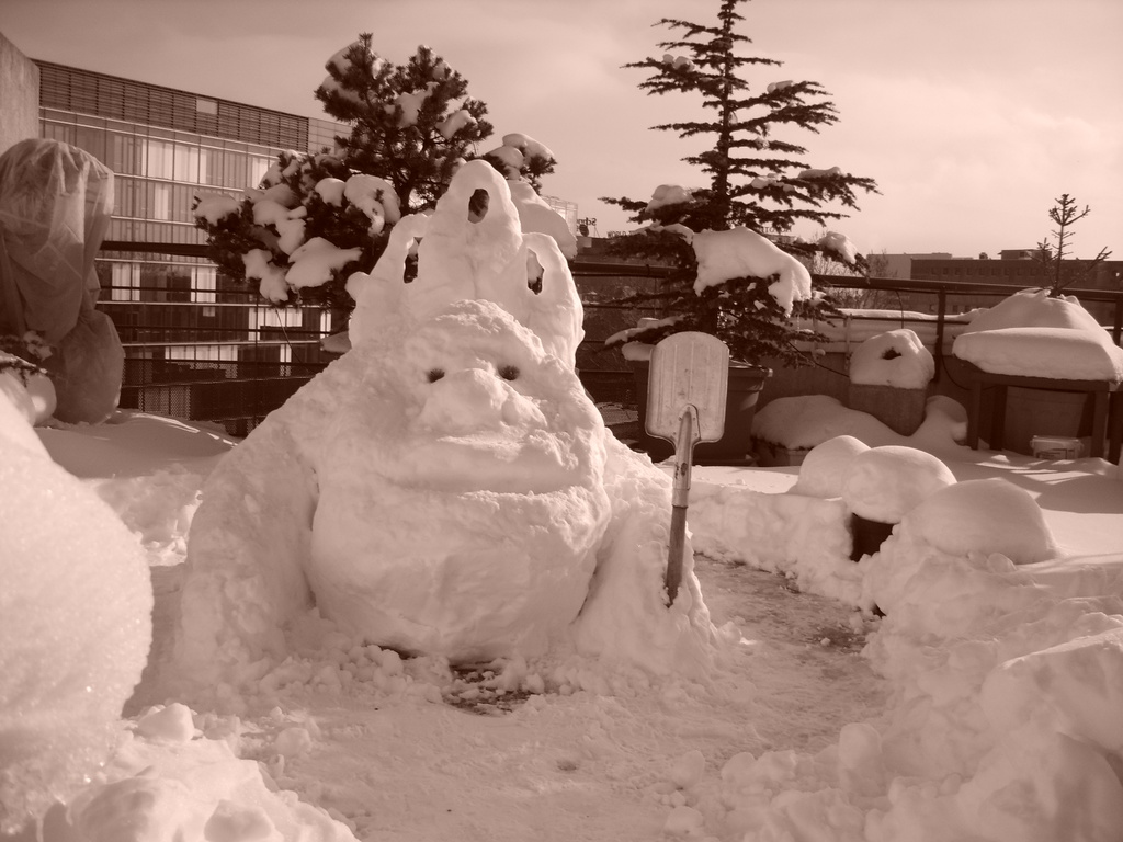 Chute de neige exceptionnelle en 2009