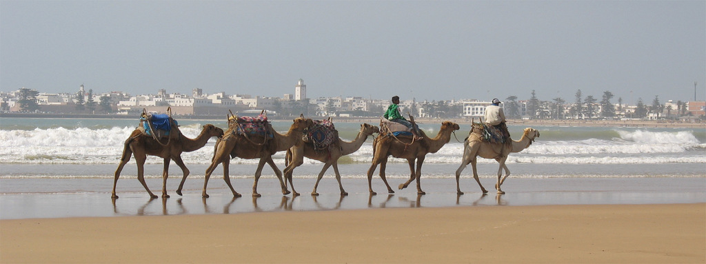 Essaouira en 2010