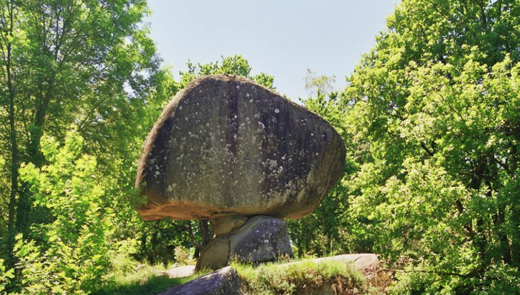 Sidobre, mountains and forests, 1 hour from Albi. There we enjoy walking, admiring huge stones.