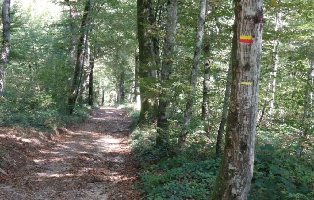 ballades en FORET de LOUDEAC