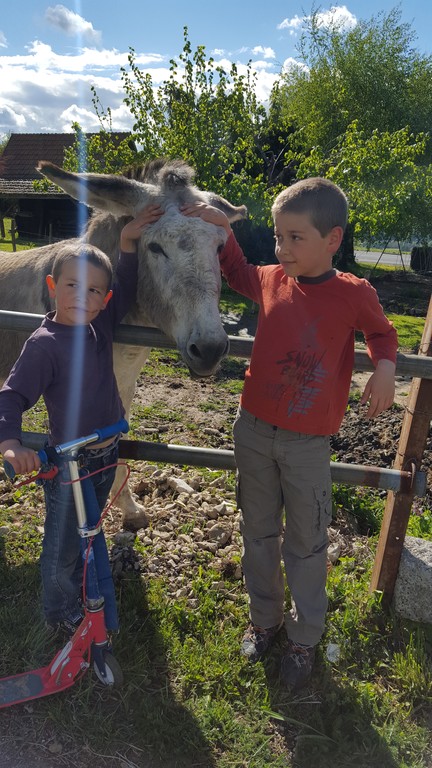 Baptiste, Maxime et Jéricho, gentil âne du voisinage. Baptiste, Maxime and Jericho, nice donkey living nearby. 