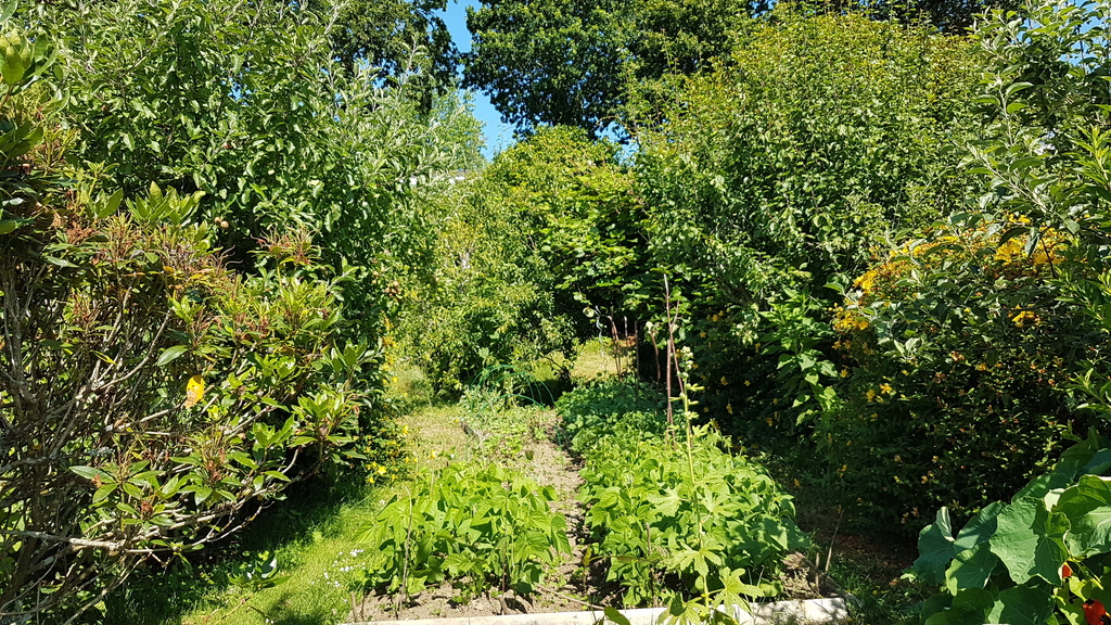 potager