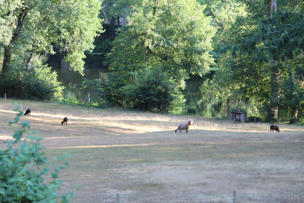 from house we look at the river