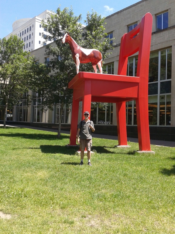 "The Yearling", Denver (Colorado), USA 2016