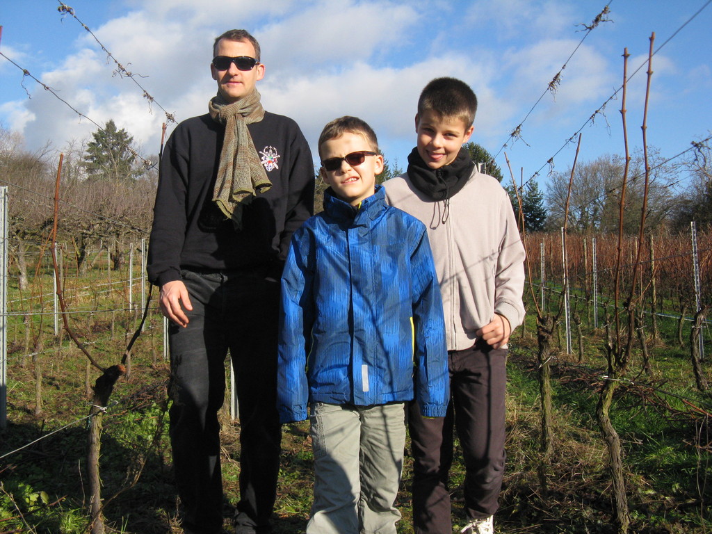 In the vineyard in automn