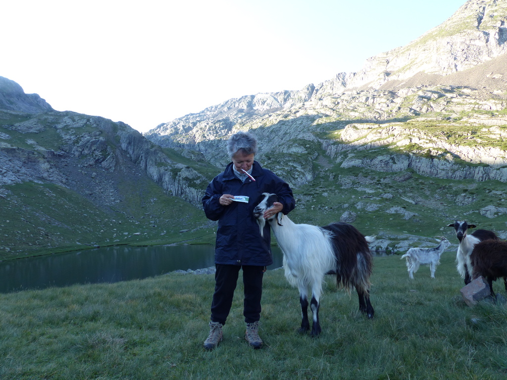 compagnons de bivouac