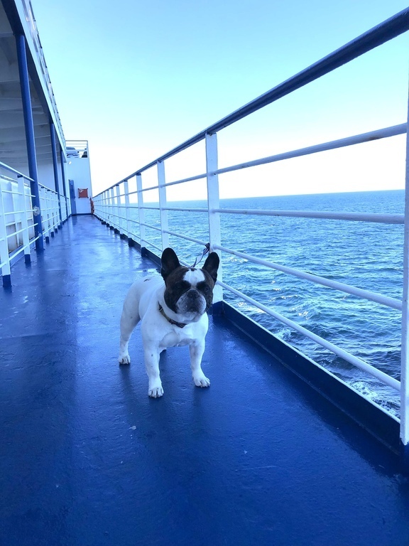 Osiris, my travel companion except by plane