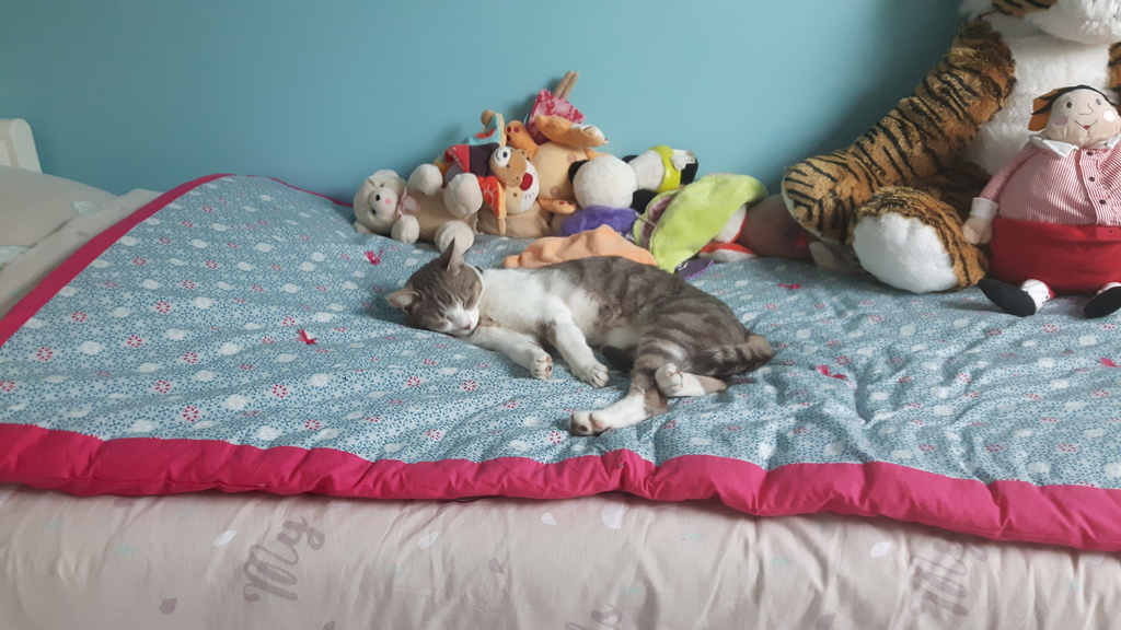 Max, your future host